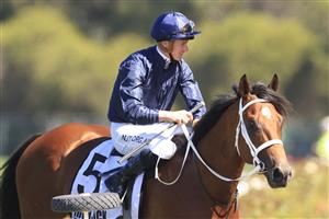 SYDNEY, AUSTRALIA - FEBRUARY 20: James McDonald on Home Affairs returns to scale after winning race 5 the Iron Jack Silver Slipper Stakes during Sydney Racing at Rosehill Gardens on February 20, 2021 in Sydney, Australia. (Photo by Mark Evans/Getty Images)