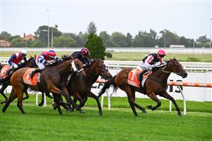 MELBOURNE, AUSTRALIA - FEBRUARY 20: Jamie Kah riding Yes Baby Yes wins Race 3, the Neds Angus Armanasco Stakes, during Blue Diamond Stakes Day at Caulfield Racecourse on February 20, 2021 in Melbourne, Australia. (Photo by Vince Caligiuri/Getty Images)