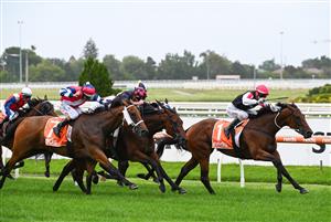 MELBOURNE, AUSTRALIA - FEBRUARY 20: Jamie Kah riding Yes Baby Yes wins Race 3, the Neds Angus Armanasco Stakes, during Blue Diamond Stakes Day at Caulfield Racecourse on February 20, 2021 in Melbourne, Australia. (Photo by Vince Caligiuri/Getty Images)