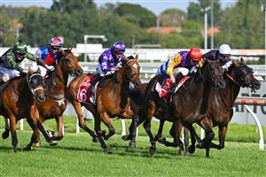 MELBOURNE, AUSTRALIA - FEBRUARY 20: John Allen riding
Paradee wins Race 9, the Carlton Draught Peter Young Stakes, during Blue Diamond Stakes Day at Caulfield Racecourse on February 20, 2021 in Melbourne, Australia. (Photo by Vince Caligiuri/Getty Images)
