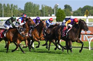 MELBOURNE, AUSTRALIA - FEBRUARY 20: John Allen riding
Paradee wins Race 9, the Carlton Draught Peter Young Stakes, during Blue Diamond Stakes Day at Caulfield Racecourse on February 20, 2021 in Melbourne, Australia. (Photo by Vince Caligiuri/Getty Images)