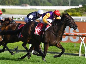 MELBOURNE, AUSTRALIA - FEBRUARY 20: John Allen riding
Paradee wins Race 9, the Carlton Draught Peter Young Stakes, during Blue Diamond Stakes Day at Caulfield Racecourse on February 20, 2021 in Melbourne, Australia. (Photo by Vince Caligiuri/Getty Images)