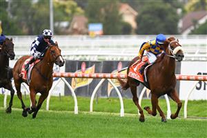 MELBOURNE, AUSTRALIA - FEBRUARY 20: Luke Nolen rides Oxley Road to win Race 2, the Neds Zeditave Stakes, during Blue Diamond Stakes Day at Caulfield Racecourse on February 20, 2021 in Melbourne, Australia. (Photo by Vince Caligiuri/Getty Images)
