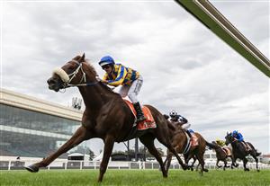 MELBOURNE, AUSTRALIA - FEBRUARY 20: Luke Nolen rides Oxley Road to win Race 2, the Neds Zeditave Stakes, during Blue Diamond Stakes Day at Caulfield Racecourse on February 20, 2021 in Melbourne, Australia. (Photo by Vince Caligiuri/Getty Images)