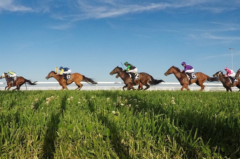 Gosford tips for 16.07.2020