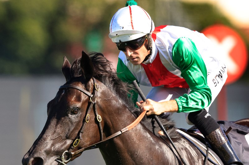 Randwick Guineas Betting Odds