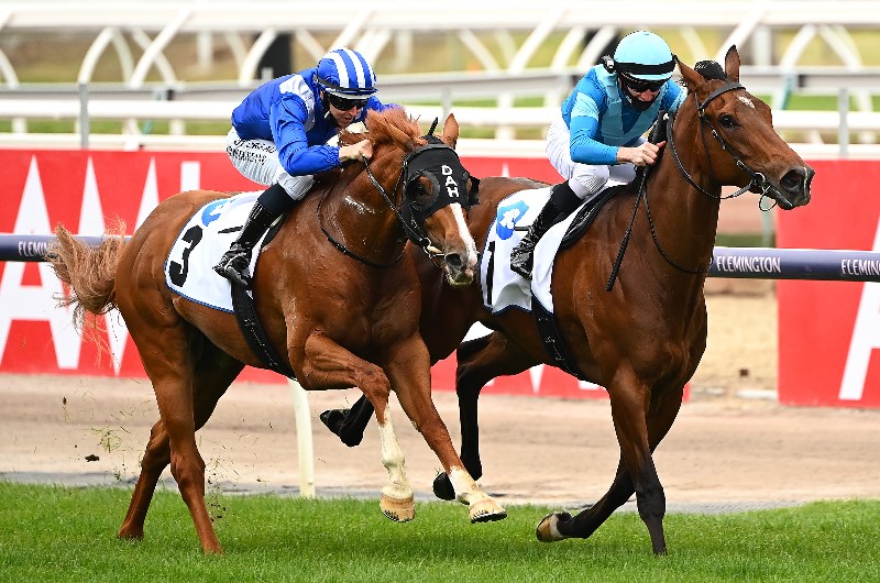Australian Guineas Betting Tips