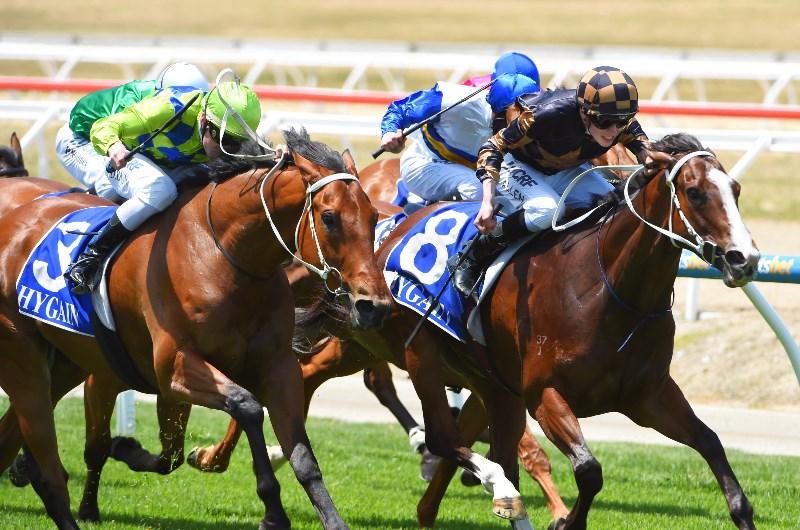 Pakenham Betting Tips