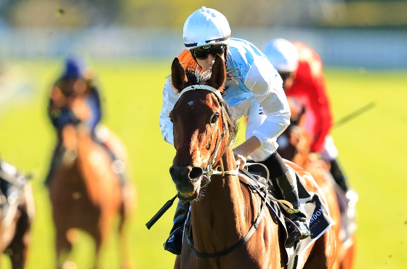 Surround Stakes Final Field