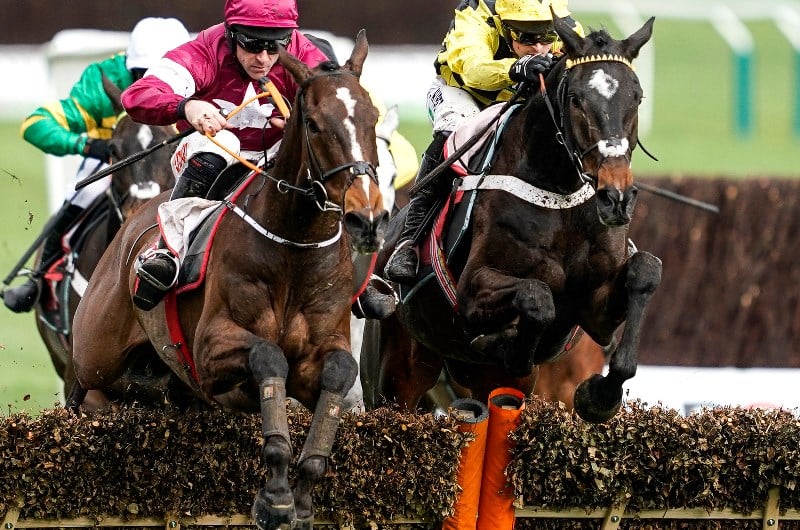 shishkin cheltenham shishkin cheltenham