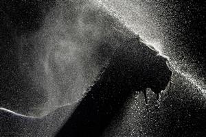 WARWICK, ENGLAND - FEBRUARY 26: A general view as a runner is hosed down after racing on a warm day at Warwick Racecourse on February 26, 2021 in Warwick, England. Due to the coronavirus pandemic, owners along with the paying public will not be allowed to attend the meeting. (Photo by Alan Crowhurst/Getty Images)