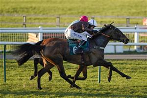 WARWICK, ENGLAND - FEBRUARY 26: Tom Cannon riding Moonmacaroona win The British Stallion Studs EBF Mares' Standard Open NH Flat Race at Warwick Racecourse on February 26, 2021 in Warwick, England. Due to the coronavirus pandemic, owners along with the paying public will not be allowed to attend the meeting. (Photo by Alan Crowhurst/Getty Images)