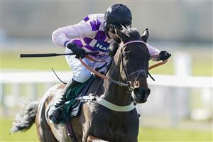 WARWICK, ENGLAND - FEBRUARY 26: Tom Cannon riding Jay Bee Why clear the last to win The British Stallion Studs EBF 'National Hunt' Novices' Hurdle at Warwick Racecourse on February 26, 2021 in Warwick, England. Due to the coronavirus pandemic, owners along with the paying public will not be allowed to attend the meeting. (Photo by Alan Crowhurst/Getty Images)