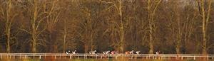 SUNBURY, ENGLAND - FEBRUARY 27: A general view as the low evening sun lights up the runners and woodland down the back straight during The Close Brothers Premium Finance Standard Open NH Flat Race at Kempton Park Racecourse on February 27, 2021 in Sunbury, England. Due to the coronavirus pandemic, owners along with the paying public will not be allowed to attend the meeting. (Photo by Alan Crowhurst/Getty Images)