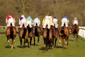SUNBURY, ENGLAND - FEBRUARY 27: Harry Cobden riding My Way (R, pink) on their way to winning The Close Brothers Motor Finance Handicap Chase at Kempton Park Racecourse on February 27, 2021 in Sunbury, England. Due to the coronavirus pandemic, owners along with the paying public will not be allowed to attend the meeting. (Photo by Alan Crowhurst/Getty Images)