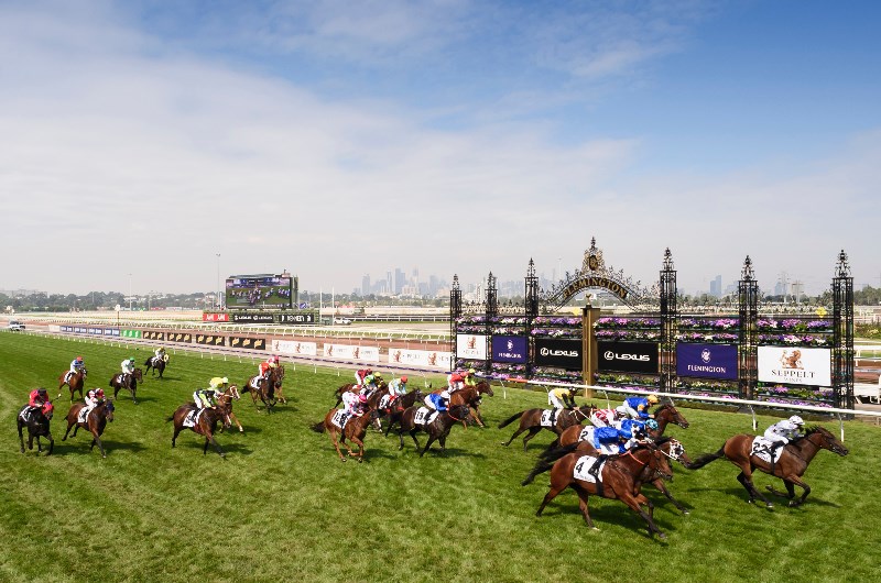 Newmarket Handicap betting odds