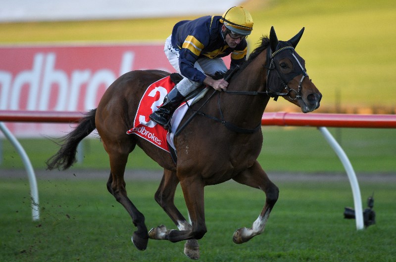 Sandown Betting Tips