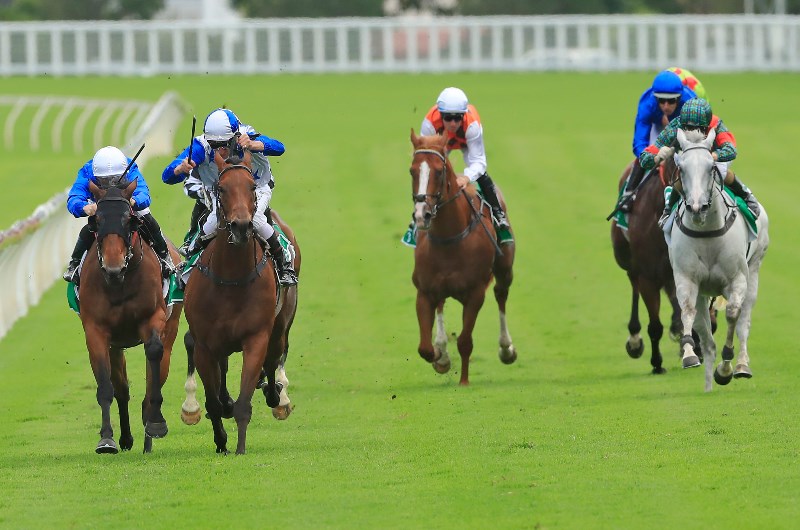 Canterbury Stakes Tips