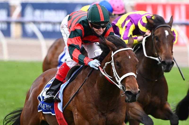 Newmarket Handicap Betting Tips