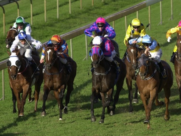 Eagle Farm Racing Tips for 05.11.19