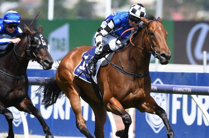 Flemington Betting Tips