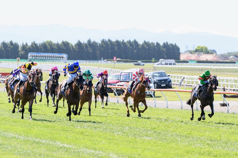 New Zealand Derby Betting Tips