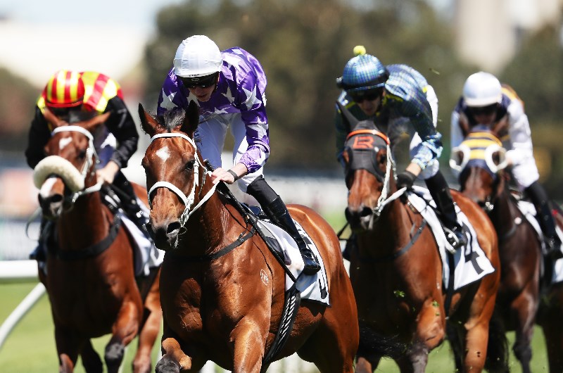 Weekend Racing Multi