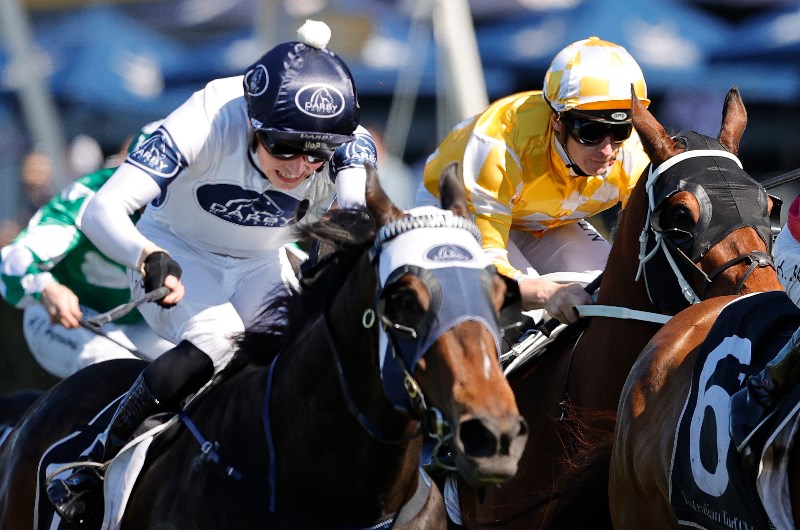 Canberra Tips for 07.03.2021