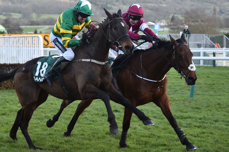 county hurdle cheltenham