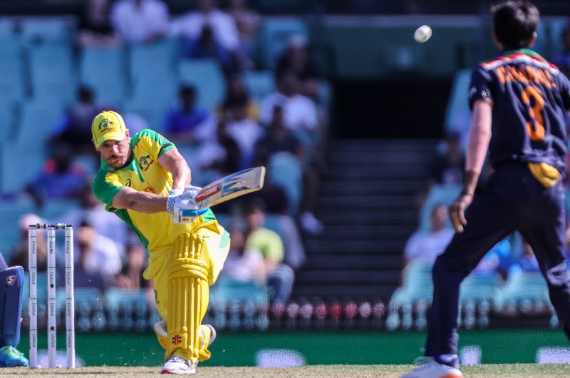 Aaron Finch batting