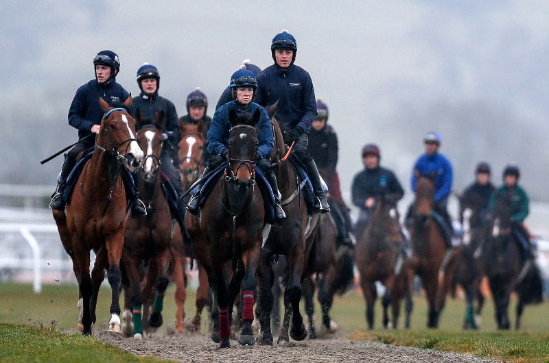 cheltenham gallops elliott