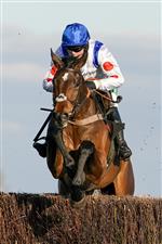 NEWBURY, ENGLAND - MARCH 06: Bryony Frost riding Hitman clear the last to win The BetVictor Novices' Chase at Newbury Racecourse on March 06, 2021 in Newbury, England. Due to the coronavirus pandemic, owners along with the paying public will not be allowed to attend the meeting. (Photo by Alan Crowhurst/Getty Images)