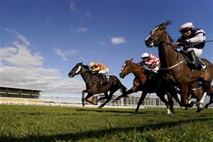 NEWBURY, ENGLAND - MARCH 06: David Noonan riding Umbrigado (L, yellow cap) get up on the run-in to win The BetVictor Greatwood Gold Cup Handicap Chase at Newbury Racecourse on March 06, 2021 in Newbury, England. Due to the coronavirus pandemic, owners along with the paying public will not be allowed to attend the meeting. (Photo by Alan Crowhurst/Getty Images)