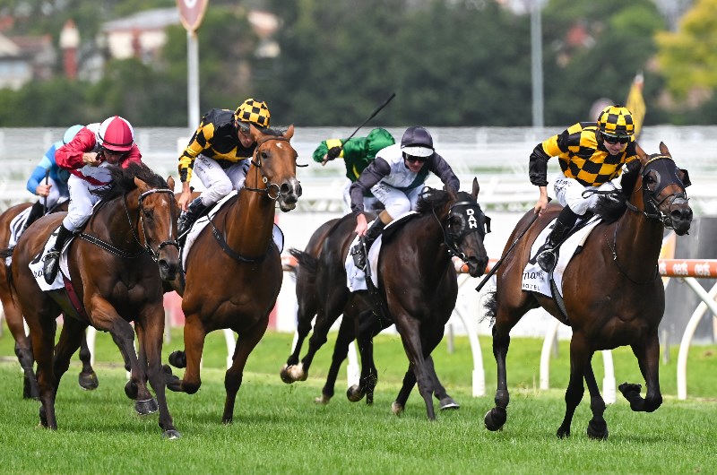 All-Star Mile betting odds