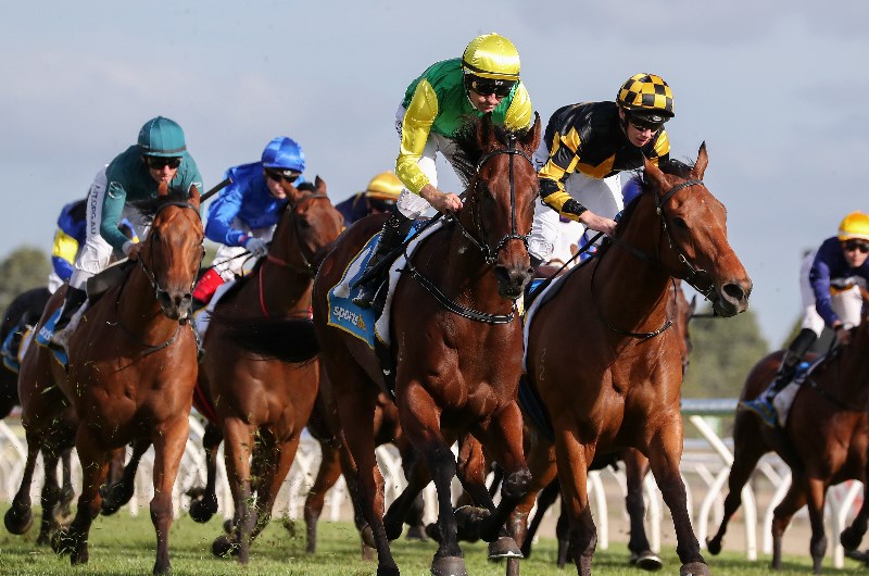 Ballarat Betting Tips