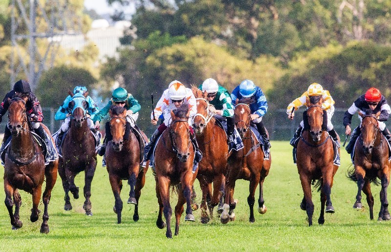 wagga racecourse static