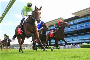 SYDNEY, AUSTRALIA - MARCH 06: Robbie Dolan on Vulpine wins race 6 the Fujitsu General Wenona Girl Quality during Sydney Racing at Royal Randwick Racecourse on March 06, 2021 in Sydney, Australia. (Photo by Mark Evans/Getty Images)