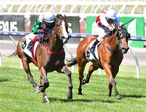 MELBOURNE, AUSTRALIA - MARCH 06: Dean Yendall riding Marboosha wins race 5, the Incognitus Stakes, during Melbourne Racing at Flemington Racecourse on March 06, 2021 in Melbourne, Australia. (Photo by Vince Caligiuri/Getty Images)