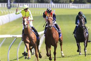 SYDNEY, AUSTRALIA - MARCH 06: Nash Rawiller on Eduardo wins race 5 the Hyland Race Colours from James McDonald on Nature Strip during Sydney Racing at Royal Randwick Racecourse on March 06, 2021 in Sydney, Australia. (Photo by Mark Evans/Getty Images)
