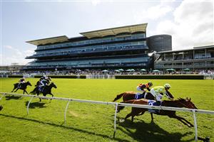 SYDNEY, AUSTRALIA - MARCH 06: Nash Rawiller on Eduardo wins race 5 the Hyland Race Colours from James McDonald on Nature Strip during Sydney Racing at Royal Randwick Racecourse on March 06, 2021 in Sydney, Australia. (Photo by Mark Evans/Getty Images)