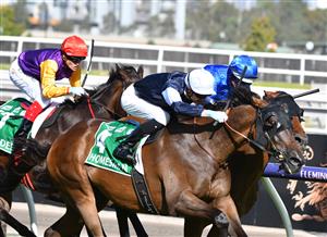 MELBOURNE, AUSTRALIA - MARCH 06: Jye McNeil riding Homesman winning Race 8, the Tab Australian Cup, during Melbourne Racing at Flemington Racecourse on March 06, 2021 in Melbourne, Australia. (Photo by Vince Caligiuri/Getty Images)