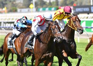 MELBOURNE, AUSTRALIA - MARCH 06: Luke Currie riding Zoutori defeating Brad Parnham riding Indian Pacific in race 6, the Seppelt Wines Newmarket Handicap, during Melbourne Racing at Flemington Racecourse on March 06, 2021 in Melbourne, Australia. (Photo by Vince Caligiuri/Getty Images)