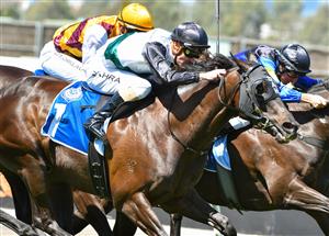 MELBOURNE, AUSTRALIA - MARCH 06: Mark Zahra riding So Si Bon defeats Pretty Brazen and Holbien in Race 3, the Furphy Ale March Stakes, during Melbourne Racing at Flemington Racecourse on March 06, 2021 in Melbourne, Australia. (Photo by Vince Caligiuri/Getty Images)