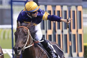SYDNEY, AUSTRALIA - MARCH 06: Tommy Berry on Mount Popa wins race 4 the Randwick City Stakes during Sydney Racing at Royal Randwick Racecourse on March 06, 2021 in Sydney, Australia. (Photo by Mark Evans/Getty Images)