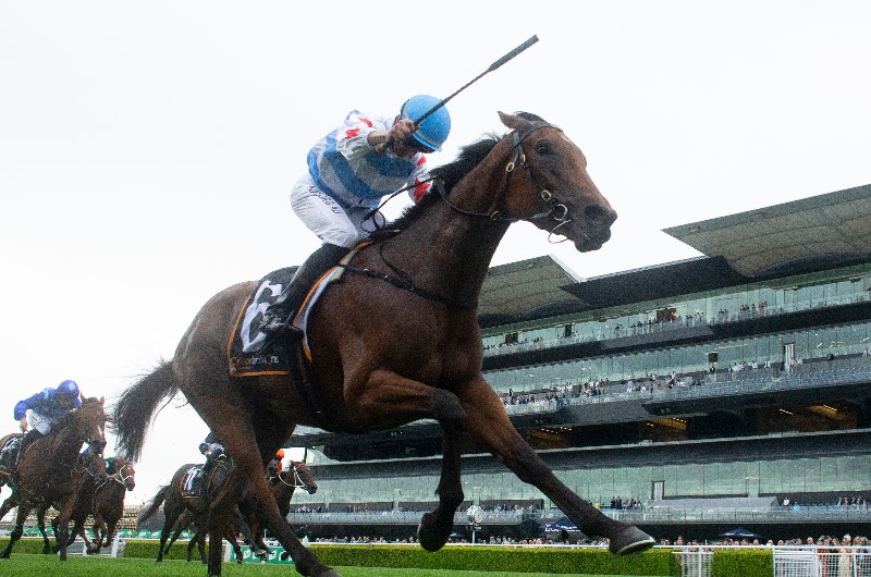 Coolmore Classic Betting Odds