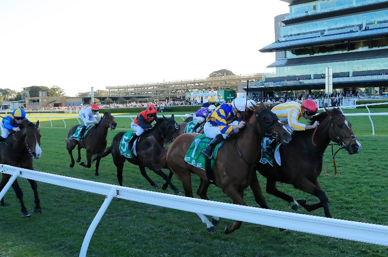 Randwick-Kensington Tips