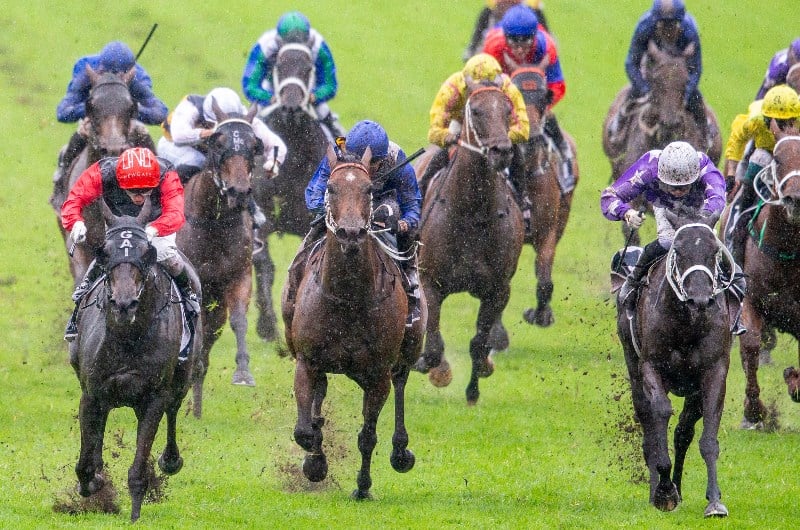 Coolmore Classic Final Field
