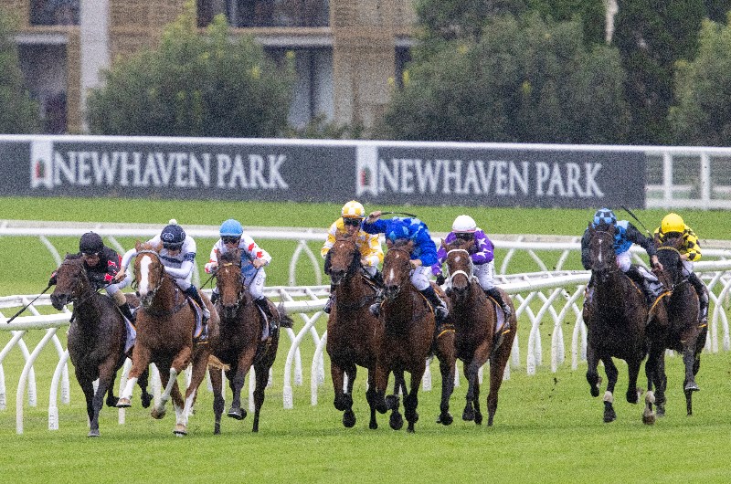 Coolmore Classic Tips