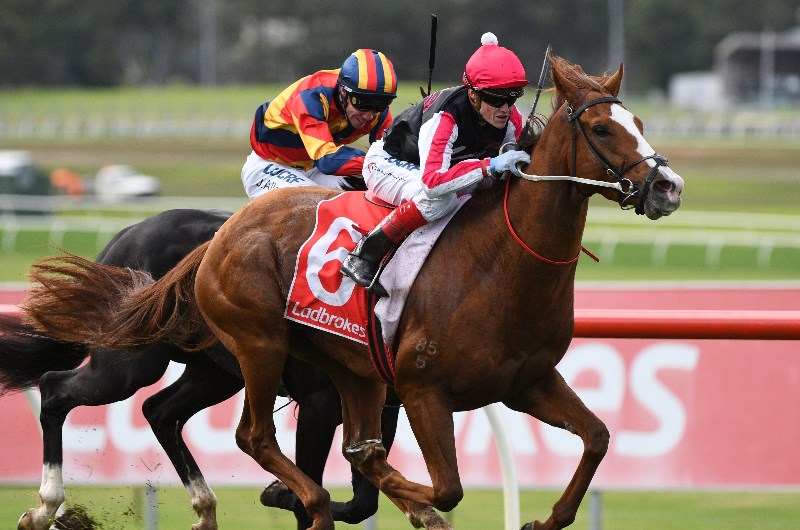 Craig Williams megabet