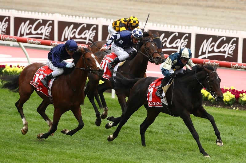 Moonee Valley Betting Tips